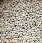 Quinoa seeds (Chenopodium quinoa)