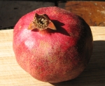 pomegranate fruit (persistent calyx and stamens visible)