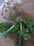 small, tough stems and leaves on celery root