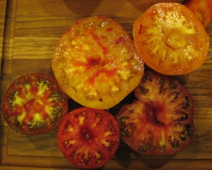 Tomato halves, showing the compartments called locules filled with seeds attached to viscous placenta.