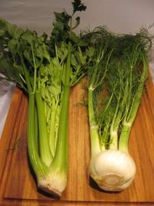 Celery (left) and fennel (right)